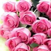 ヒメ日記 2025/05/28 07:14 投稿 野上 熟女の風俗最終章 横浜本店