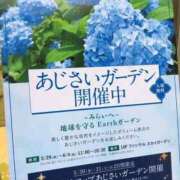 ヒメ日記 2025/06/01 07:44 投稿 野上 熟女の風俗最終章 横浜本店