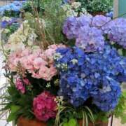 ヒメ日記 2025/06/01 10:15 投稿 野上 熟女の風俗最終章 横浜本店