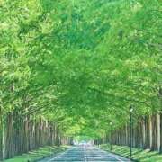 ヒメ日記 2025/06/07 10:06 投稿 野上 熟女の風俗最終章 横浜本店