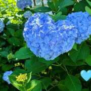 ヒメ日記 2025/06/09 08:34 投稿 野上 熟女の風俗最終章 横浜本店