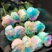 ヒメ日記 2025/06/10 08:05 投稿 野上 熟女の風俗最終章 横浜本店