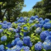 ヒメ日記 2025/06/10 10:24 投稿 野上 熟女の風俗最終章 横浜本店