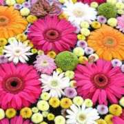 ヒメ日記 2025/06/14 02:54 投稿 野上 熟女の風俗最終章 横浜本店