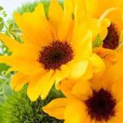 ヒメ日記 2025/06/17 07:57 投稿 野上 熟女の風俗最終章 横浜本店