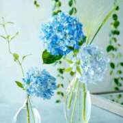 ヒメ日記 2025/06/23 13:05 投稿 野上 熟女の風俗最終章 横浜本店