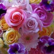 ヒメ日記 2025/06/27 11:14 投稿 野上 熟女の風俗最終章 横浜本店