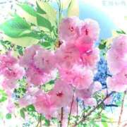 ヒメ日記 2025/07/01 09:04 投稿 野上 熟女の風俗最終章 横浜本店