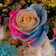 ヒメ日記 2025/07/11 09:04 投稿 野上 熟女の風俗最終章 横浜本店