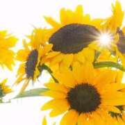 ヒメ日記 2025/07/13 10:05 投稿 野上 熟女の風俗最終章 横浜本店