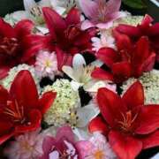 ヒメ日記 2025/07/17 19:14 投稿 野上 熟女の風俗最終章 横浜本店