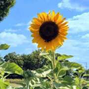 ヒメ日記 2025/07/18 07:14 投稿 野上 熟女の風俗最終章 横浜本店