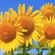 ヒメ日記 2025/07/25 13:05 投稿 野上 熟女の風俗最終章 横浜本店