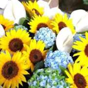 ヒメ日記 2025/07/26 14:14 投稿 野上 熟女の風俗最終章 横浜本店