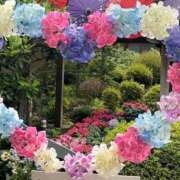 ヒメ日記 2025/07/31 21:14 投稿 野上 熟女の風俗最終章 横浜本店