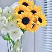 ヒメ日記 2025/08/07 15:27 投稿 野上 熟女の風俗最終章 横浜本店