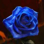 ヒメ日記 2025/08/28 20:44 投稿 野上 熟女の風俗最終章 横浜本店