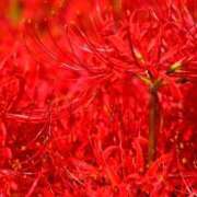 ヒメ日記 2025/10/02 08:10 投稿 野上 熟女の風俗最終章 横浜本店