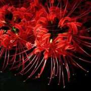 ヒメ日記 2025/10/02 19:54 投稿 野上 熟女の風俗最終章 横浜本店