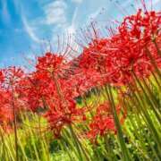 ヒメ日記 2025/10/03 09:25 投稿 野上 熟女の風俗最終章 横浜本店