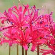 ヒメ日記 2025/10/03 11:14 投稿 野上 熟女の風俗最終章 横浜本店