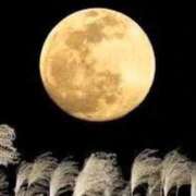 ヒメ日記 2025/10/07 10:36 投稿 野上 熟女の風俗最終章 横浜本店