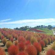 ヒメ日記 2025/10/07 12:14 投稿 野上 熟女の風俗最終章 横浜本店