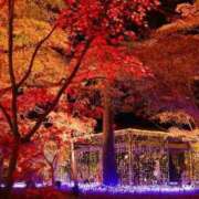 ヒメ日記 2025/10/17 23:24 投稿 野上 熟女の風俗最終章 横浜本店