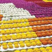 ヒメ日記 2025/10/20 13:49 投稿 野上 熟女の風俗最終章 横浜本店