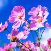 ヒメ日記 2025/10/30 13:33 投稿 野上 熟女の風俗最終章 横浜本店