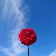 ヒメ日記 2025/10/30 15:45 投稿 野上 熟女の風俗最終章 横浜本店