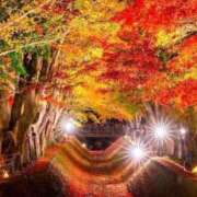 ヒメ日記 2025/10/30 19:54 投稿 野上 熟女の風俗最終章 横浜本店