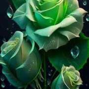 ヒメ日記 2025/11/21 21:19 投稿 野上 熟女の風俗最終章 横浜本店