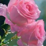 ヒメ日記 2025/11/25 10:14 投稿 野上 熟女の風俗最終章 横浜本店