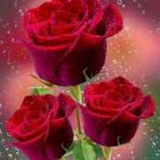 ヒメ日記 2025/11/25 22:44 投稿 野上 熟女の風俗最終章 横浜本店