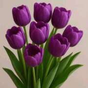 ヒメ日記 2025/11/26 02:34 投稿 野上 熟女の風俗最終章 横浜本店