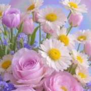 ヒメ日記 2025/11/30 10:14 投稿 野上 熟女の風俗最終章 横浜本店