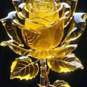 ヒメ日記 2025/11/30 18:14 投稿 野上 熟女の風俗最終章 横浜本店