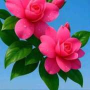 ヒメ日記 2025/12/01 02:10 投稿 野上 熟女の風俗最終章 横浜本店