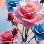 ヒメ日記 2025/12/01 12:29 投稿 野上 熟女の風俗最終章 横浜本店