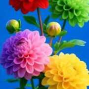 ヒメ日記 2025/12/05 09:56 投稿 野上 熟女の風俗最終章 横浜本店