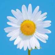 ヒメ日記 2025/12/07 10:34 投稿 野上 熟女の風俗最終章 横浜本店