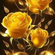 ヒメ日記 2025/12/07 19:25 投稿 野上 熟女の風俗最終章 横浜本店