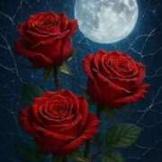 ヒメ日記 2025/12/08 03:04 投稿 野上 熟女の風俗最終章 横浜本店