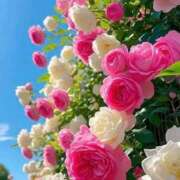 ヒメ日記 2025/12/08 09:56 投稿 野上 熟女の風俗最終章 横浜本店