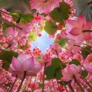 ヒメ日記 2025/12/11 13:34 投稿 野上 熟女の風俗最終章 横浜本店