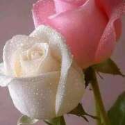 野上 御報告☺️ 熟女の風俗最終章 横浜本店