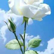 ヒメ日記 2025/12/18 09:57 投稿 野上 熟女の風俗最終章 横浜本店