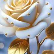 ヒメ日記 2025/12/19 14:14 投稿 野上 熟女の風俗最終章 横浜本店