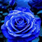 ヒメ日記 2025/12/22 19:44 投稿 野上 熟女の風俗最終章 横浜本店